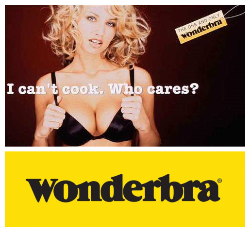 全球著名内衣品牌 Wonderbra