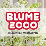 Blume2000 网路花店