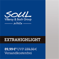 德国皇家瓷器品牌 SOUL VILLEROY & BOCH 精致餐具15件套