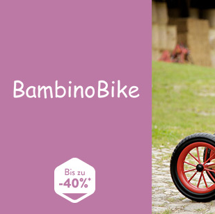 德国Bambino木制儿童自行车及木制玩具