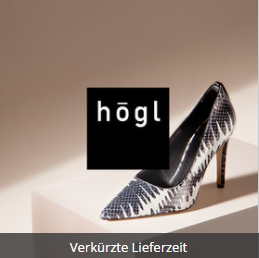 奥地利优质女鞋 Högl