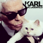 时尚圈最酷 Karl Lagerfeld卡尔·拉格斐 墨镜专场