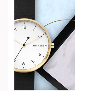 丹麦设计品牌 SKAGEN 钟表首饰