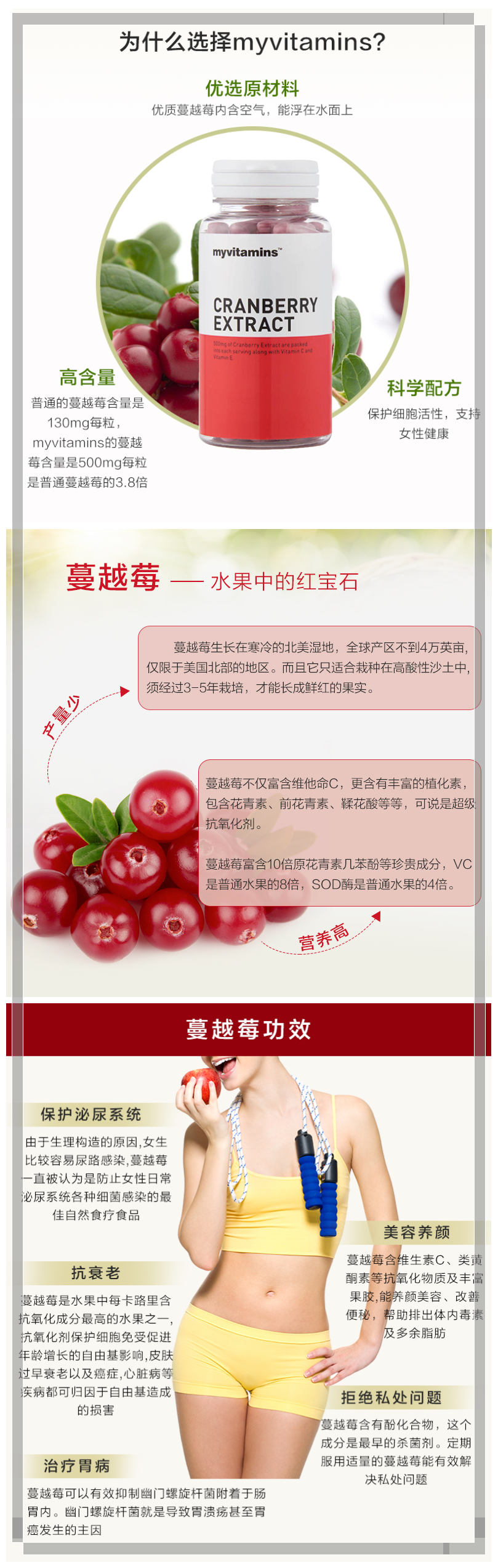 Cranberry 中文