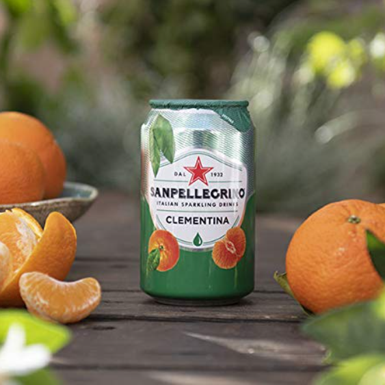 Sanpellegrino水果味汽水，四种口味，24罐*0.33L