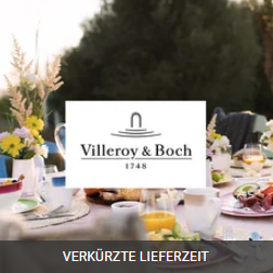 德国高端品牌Villeroy & Boch 瓷器餐具