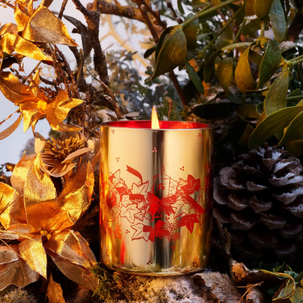 Goutal Une Foret d’Or Candle 黄金森林香氛蜡烛 35g