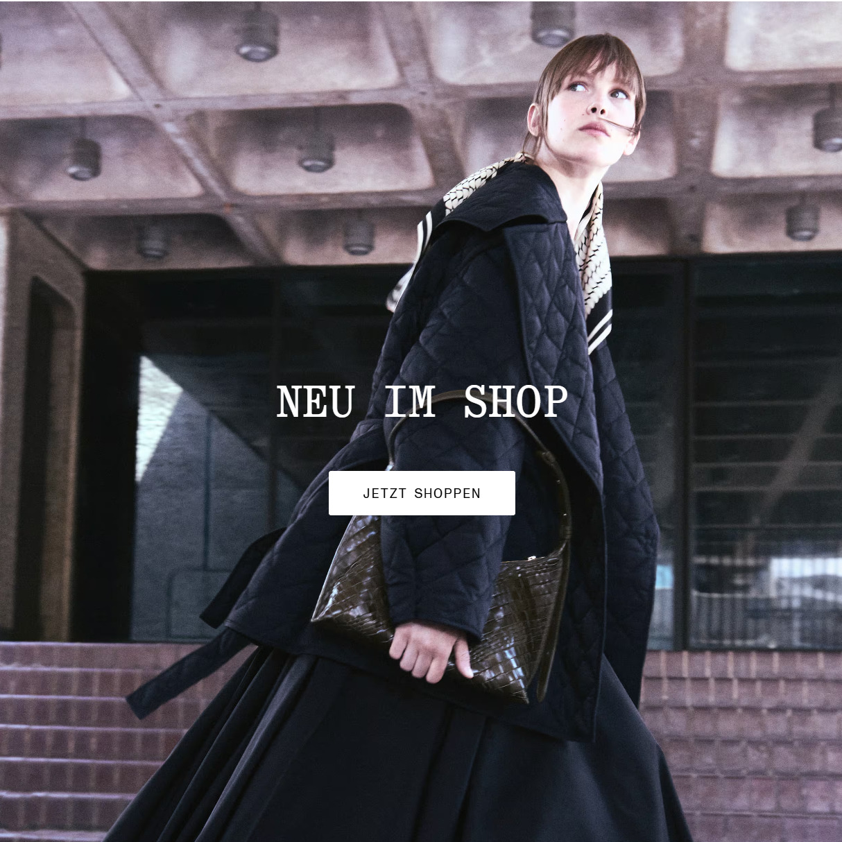 🍂秋风起，暖暖很安心~& Other Stories