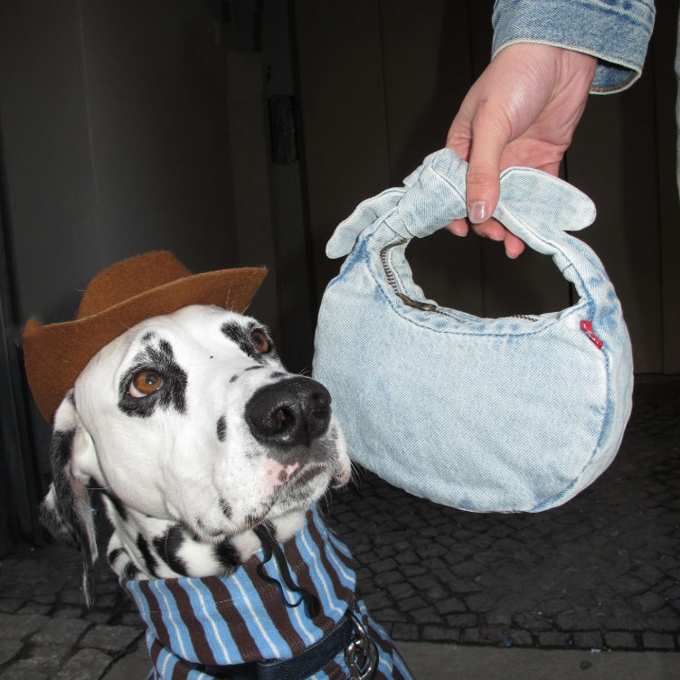 真实、耐穿、自由表达！Levi’s